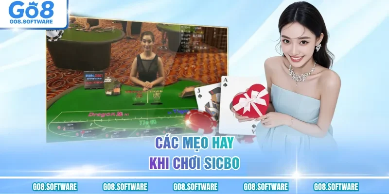 Các mẹo hay khi chơi sicbo