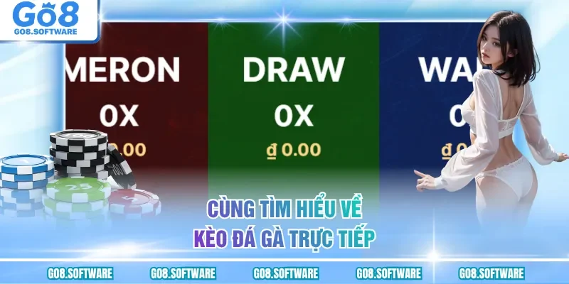 Cùng tìm hiểu về kèo đá gà trực tiếp
