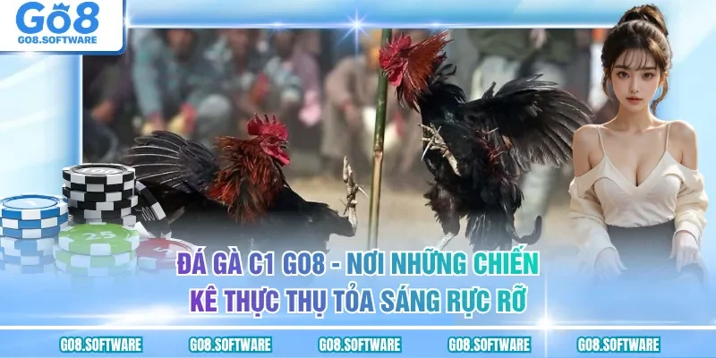 Đá Gà C1 GO8 - Đấu Trường Trực Tiếp Các Trận Tranh Cúp Kinh Điển