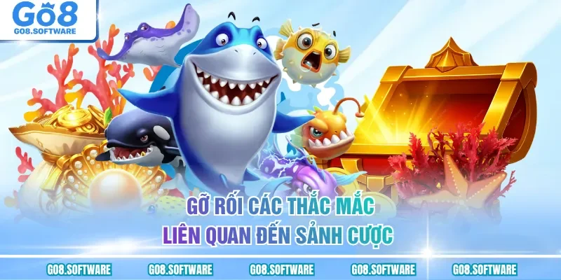 Gỡ rối các thắc mắc liên quan đến sảnh cược