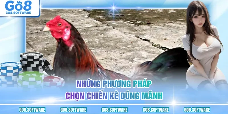 Những phương pháp chọn chiến kê dũng mãnh