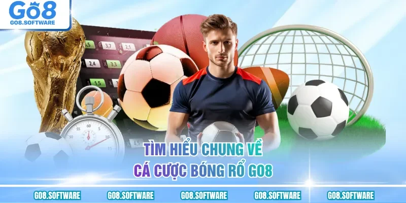Tìm hiểu chung về cá cược bóng rổ GO8